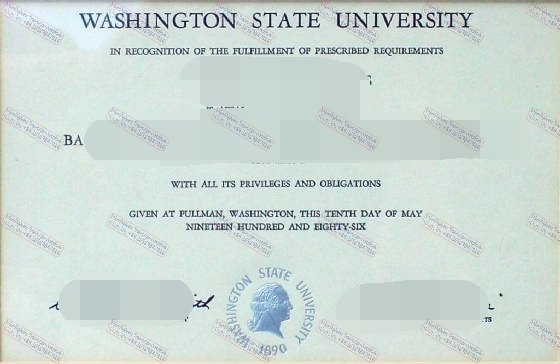 Buy fake Washington State University Degree